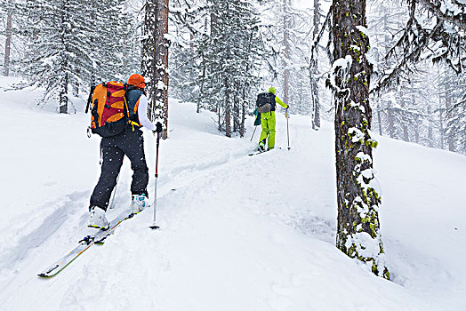 滑雪,旅游,奥斯塔谷,山谷,省,意大利,欧洲