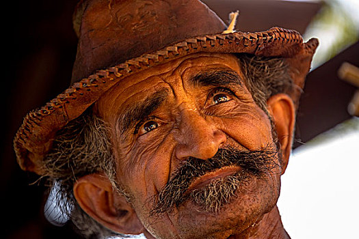 甘蔗,农民,戴着,帽子,头像,特立尼达,圣斯皮里图斯,省,古巴,北美