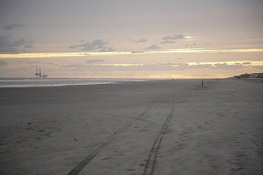 轮胎印,海滩,阿默兰岛,荷兰