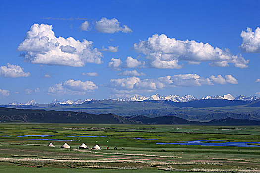 新疆巴州--巴音布鲁克草原