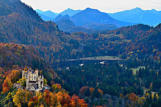 城堡,旧天鹅堡,湖,围绕,乡村,秋天,巴伐利亚,德国,欧洲