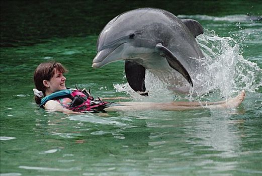 宽吻海豚,互动,女性,游客,海豚,追求,学习,中心,夏威夷