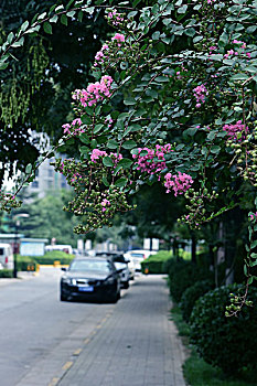 街道路边