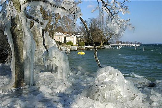 冰冷,贝尔维尤,瑞士