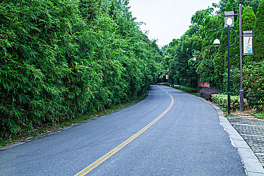 生态道路