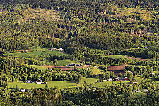挪威,山谷,白天,大幅,尺寸