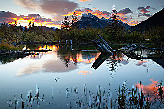 反射,山峦,云,湖,伦多山,弗米利恩湖,班芙国家公园,艾伯塔省,加拿大
