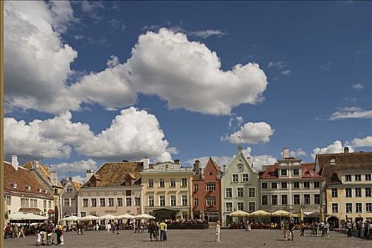 市政厅,塔林,爱沙尼亚,波罗的海国家