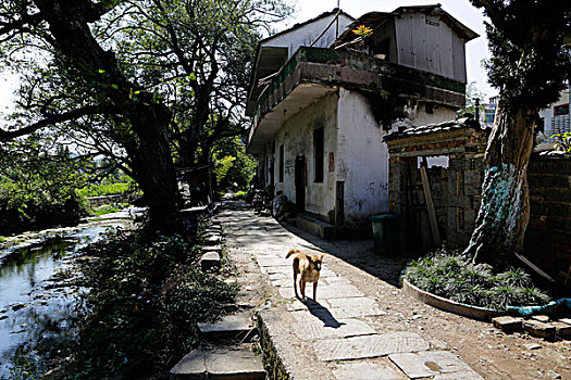 古建和水口林