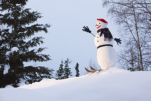 雪人,合适,圣诞帽,手套,栖息,小,积雪,阿拉斯加