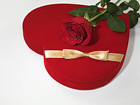 红色,心形,礼盒,红玫瑰