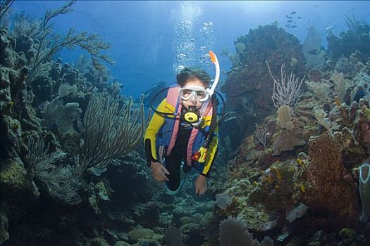 母女,深潜,洪都拉斯,加勒比海