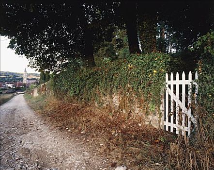 常春藤色,乡村