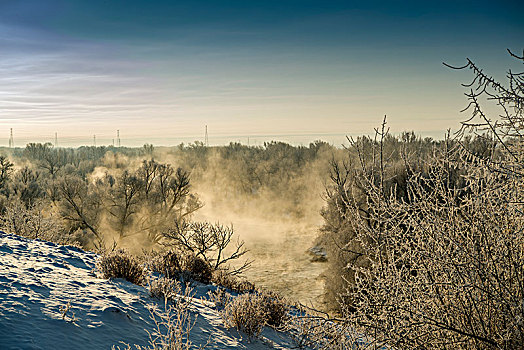 新疆,布尔津,冬日,雪景,清晨,雾松