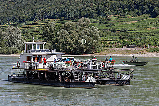 车辆渡船,多瑙河,线缆,渡轮,瓦绍,下奥地利州,奥地利,欧洲