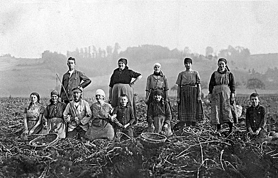 农业,女人,男孩,收获,土豆,20世纪20年代,精准,位置,未知,德国,欧洲