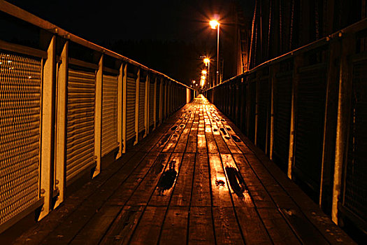 木头,小路,桥,水坑,夜晚,时间,橙色,发光,挪威