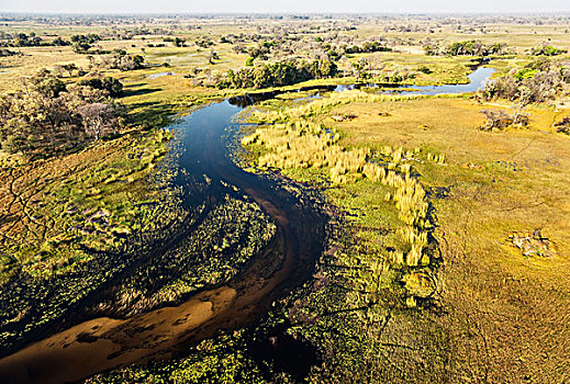河,靠近,淡水,湿地,航拍,奥卡万戈三角洲,博茨瓦纳,非洲