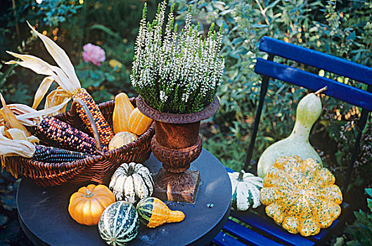 秋天装饰,观赏葫芦,玉米,花园桌