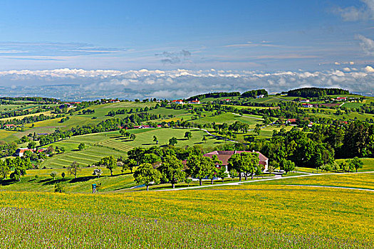 风景,下奥地利州,奥地利