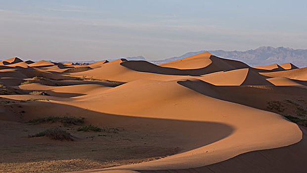 沙丘沙漠曲线的完美组合