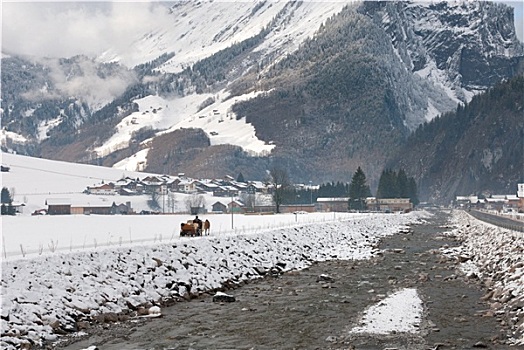 马,雪撬,场景,奥地利
