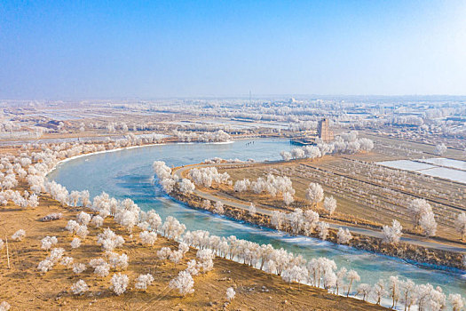 中国新疆的雾凇