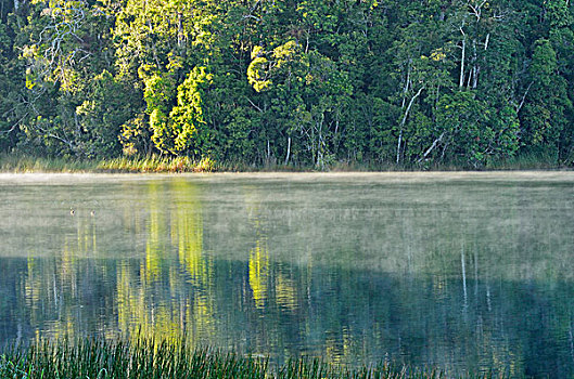 湖,高原,昆士兰,澳大利亚