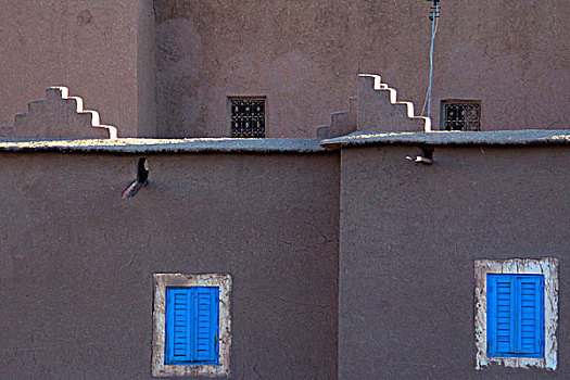 摩洛哥,蓝色,百叶窗