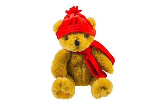 泰迪熊,红色,围巾,帽子