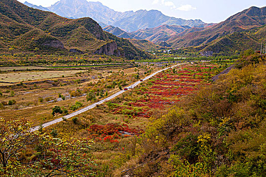 河谷间的小路