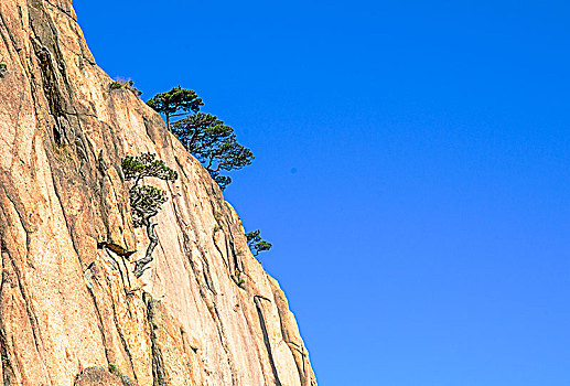 黄山风光