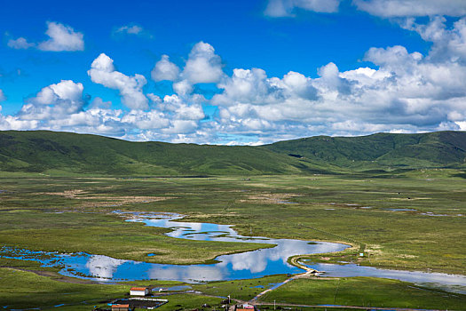 郭莽湿地