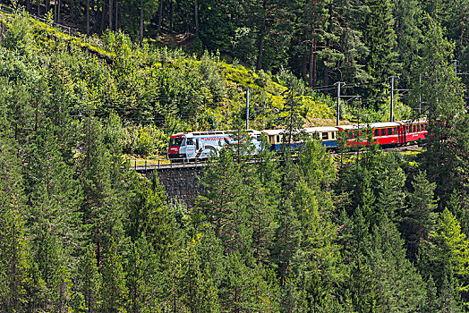 风景,铁路,靠近,区域,瑞士