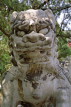 北京香山的狮子头像