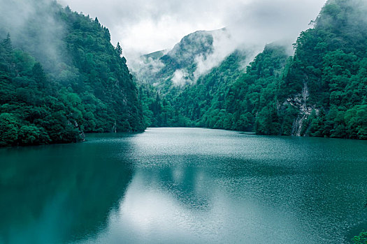 松坪沟初夏