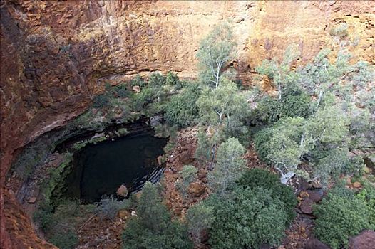 风景,暸望,峡谷,卡瑞吉尼国家公园,区域,西澳大利亚