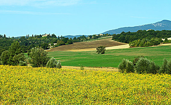 法国农庄