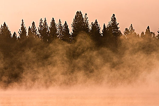 薄雾,反射,高山辉,湖,加利福尼亚,日出