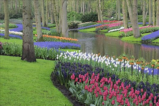 库肯霍夫花园,荷兰