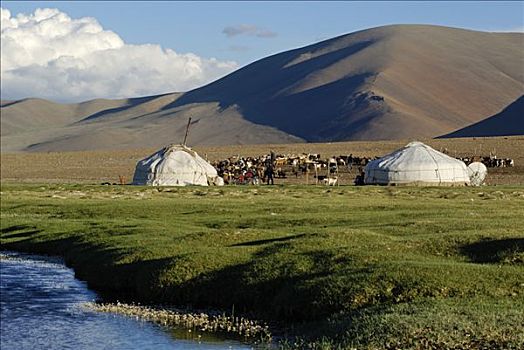 山谷,河流,蒙古包,阿尔泰,蒙古,亚洲
