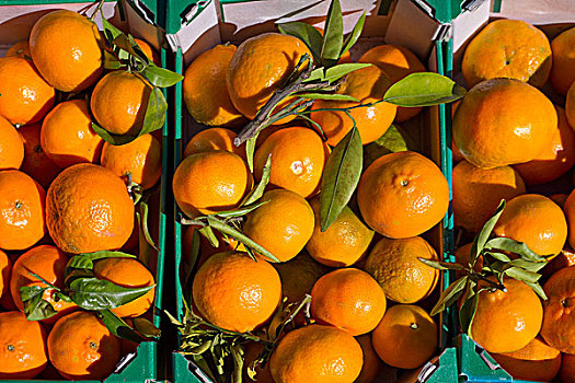 橙色,柑橘,水果,丰收,篮子,盒子,排列