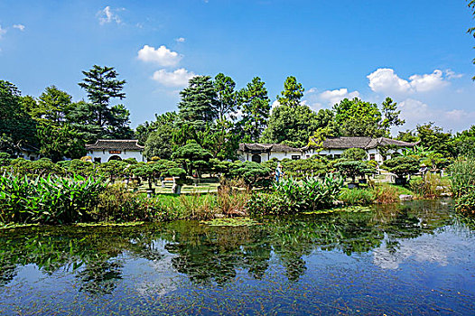 杭州花圃风光