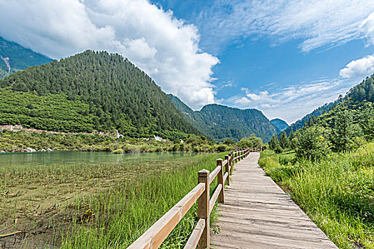 夏日九寨沟