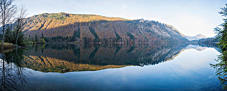 风景,反射,湖,秋天,奥地利