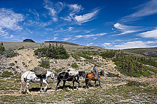 小路,骑手,旅行,山峦,不列颠哥伦比亚省,加拿大