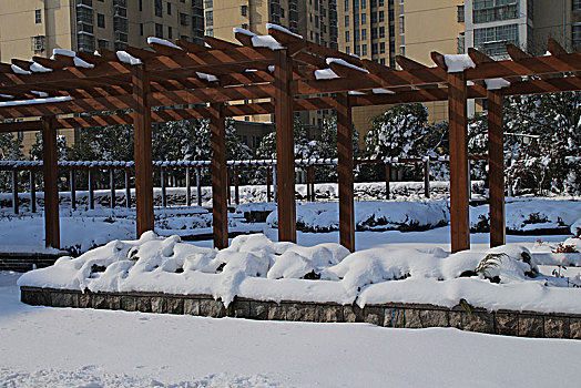 雪景