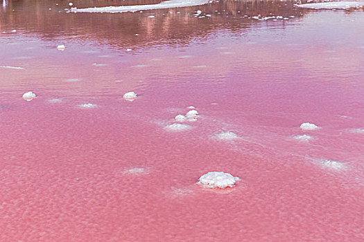 西澳大利亚澳大利亚太平洋独特的天然奇景粉红湖盐藻类泻湖