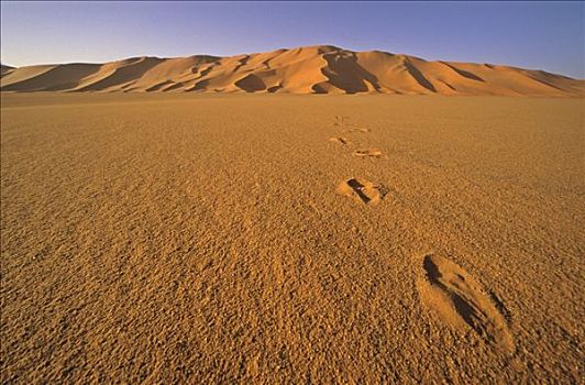 沙滩,脚印,撒哈拉沙漠,利比亚,非洲