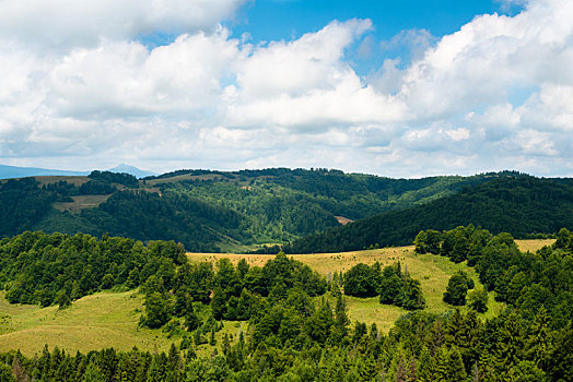 风景,乌克兰,喀尔巴阡山脉